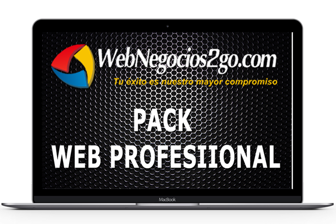 DISEÑO DE AGINAS WEB EN MADRID - WEB PROFESIONAL